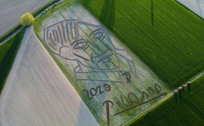 Picasso’nun en büyük portresi toprakta