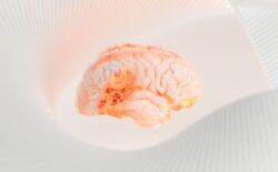 ChatGTP IQ testine girdi: Çok akıllı birine benziyor