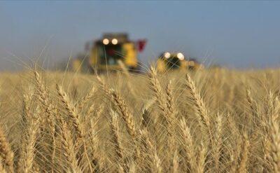 Eyvah, tarımda da dış ticaret açığı vermeye başladık