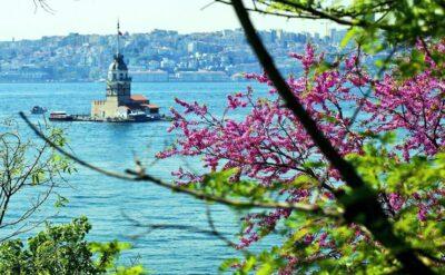 Boğaz’da erguvanlar açtı, farkında mısınız?