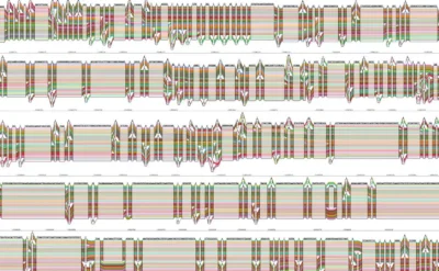 Genetik dizilimimiz ikinci baskı yaptı