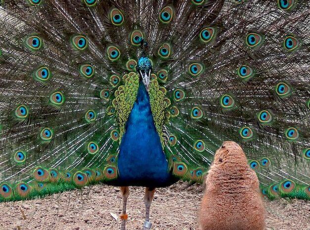 Etikçi buna ne diyor: 'Çok çirkinim, herkesle dalga geçebilirim' diyen kişinin gerçekten buna hakkı var mı?