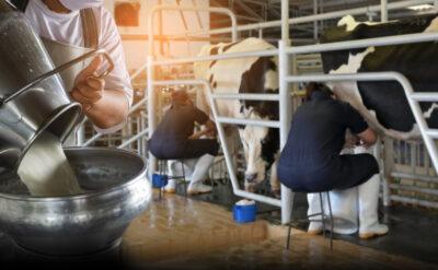 Çiğ süte yüzde 35,2 zam geldi, perakende fiyatına artış kapıda