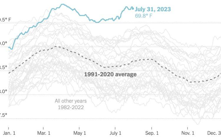 Yukarıdaki grafiğe dikkatle bakın!