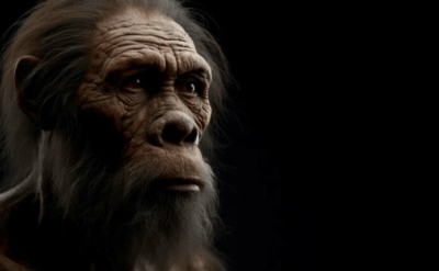 Meğer atalarım Neanderthal imiş…
