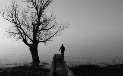 1+1 daireler lazım mı değil mi?