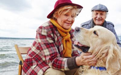 Osman Hoca ve Özkök buna ne der? Uzun eğitim süresi ömrü de uzatıyormuş…