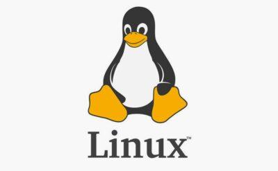 Dev bir bilgisayar korsanı saldırısını bir kişi mi önledi?