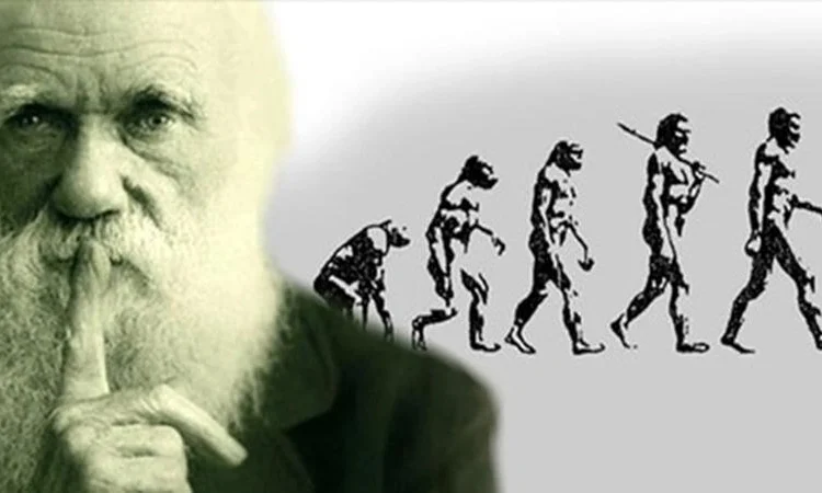 Hiç ‘evrim’ ve ‘Darwin’ demeden 9 yıl biyoloji dersi anlatmak, ‘erdemli’ bir davranış mı?