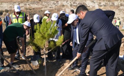 Akbelen ormanını kesip maden yapan şirket, şimdi 511 hektarlık eski maden alanına ağaç ekiyor