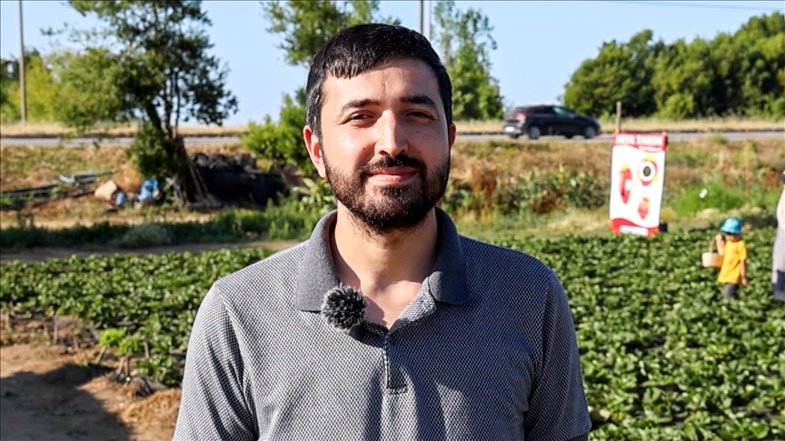 Otomasyon mühendisiydi, şimdi organik çilek üretiyor