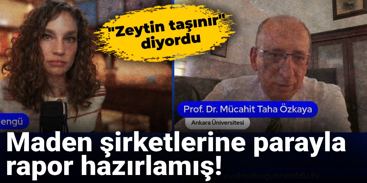 “Zeytin taşınır” demişti: Maden şirketlerine parayla rapor hazırlamış