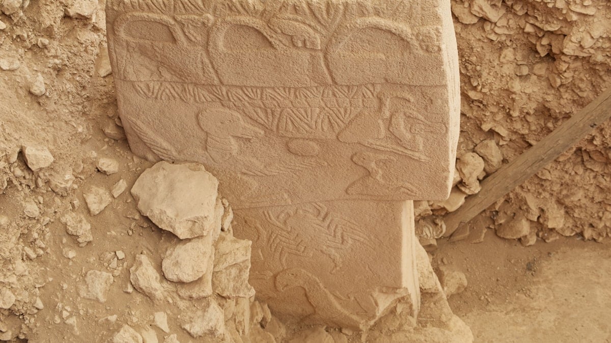 Göbeklitepe: Bir çiftçinin bulduğu heykelle her şey değişti!