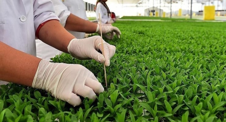Sahte belgeyle devletten 134 milyon lira destek aldılar: Sekiz kişi gözaltında