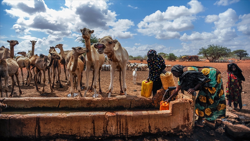 İklim krizi son 10 yılda 250 milyon kişiyi yerinden etti