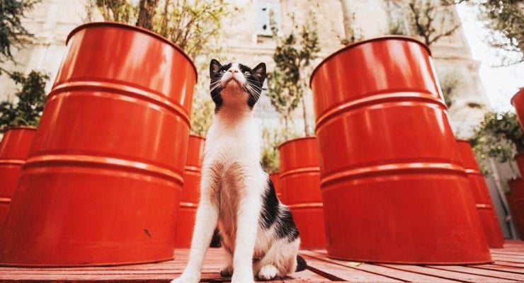 Hatırlamak için: 18. İstanbul Bienali sergilerini görmek için son günler