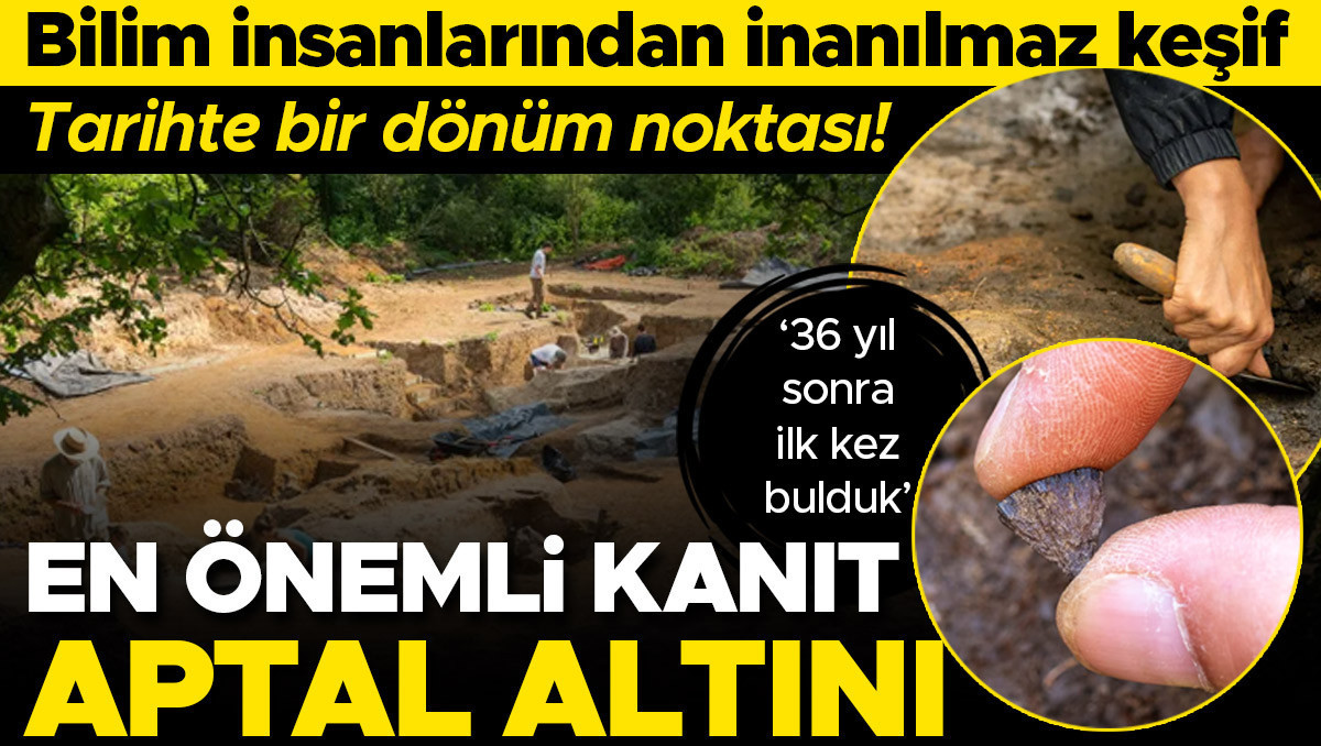 Bilim insanlarından inanılmaz keşif: İnsan eliyle yakılan ateşin bilinen ilk izi İngiltere’de