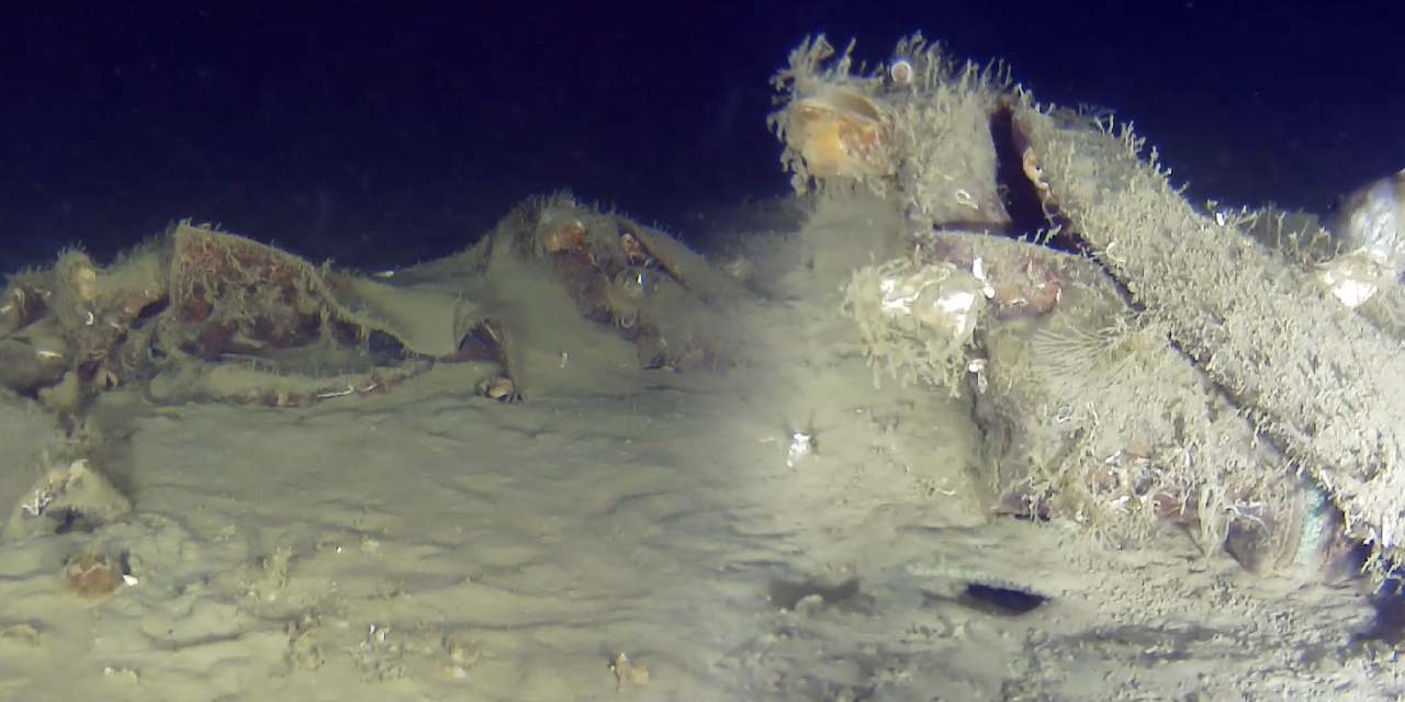 50 yıl önce düşen uçağa ait yeni parçalar görüntülendi