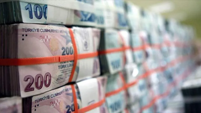 200 liranın itibarı: Tedavüle girdiğinde 131 dolar ediyordu, şimdi 4 dolar