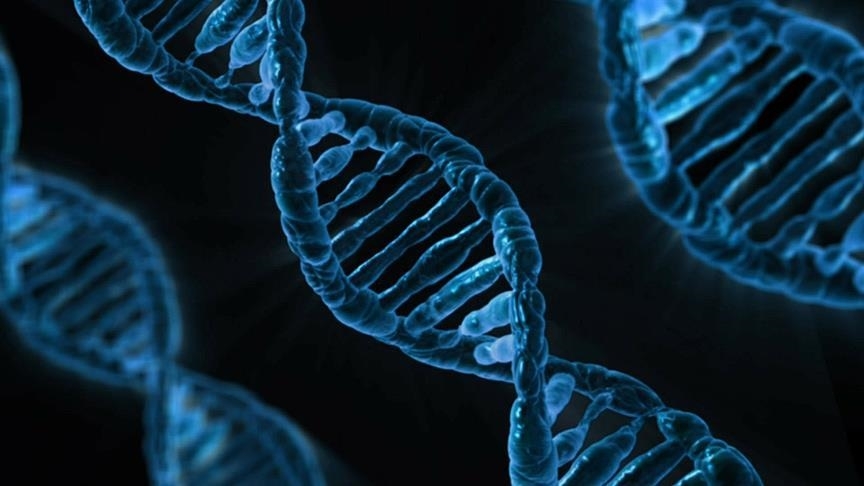 Yapay zeka modeli AlphaGenome eliyle keşif: DNA’nın bilinmeyenleri  ortaya çıkarılacak