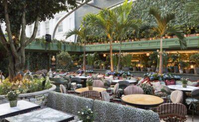 Bir kadın… Bir kulüp… Bir içki… Ve saf kötülük