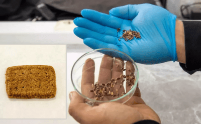 Alzheimer, diyabet ve kansere karşı bisküvi ürettiler