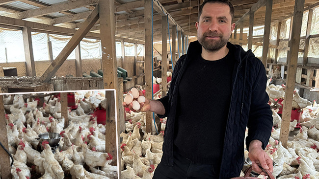 Sosyal medyada görmüş: Tavukları yumurtlasın diye kümeste mısır patlatıyor