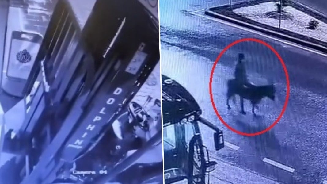 Kuyumcuyu soymaya forkliftle girdi, eşekle kaçtı!