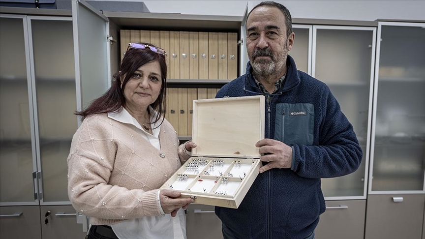 Bilim insanı çift keşfettikleri böcekleri şehir ve bitki adıyla literatüre kazandırdı