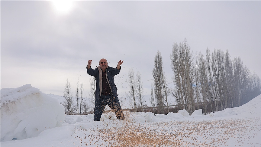 Her kış 10 ton tahılı doğaya bırakıyor: Kuşlar aç kalmasın