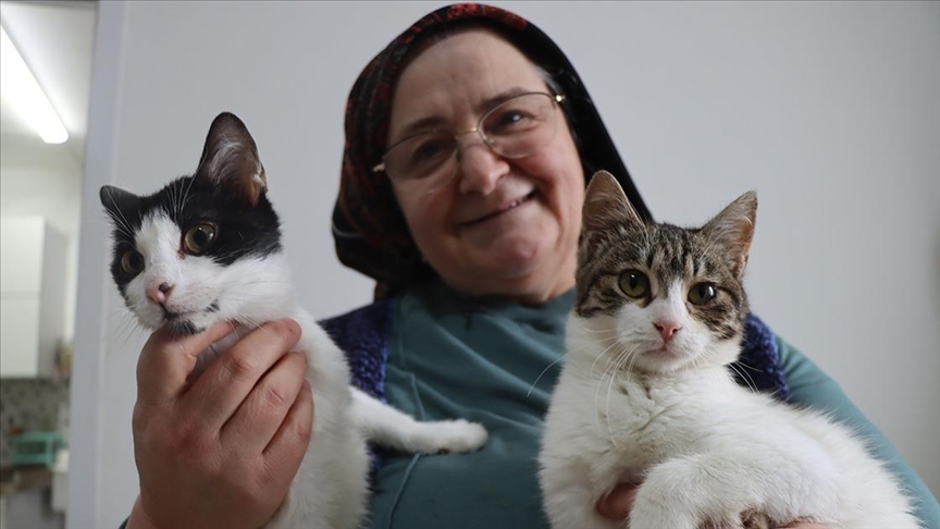 İlk kedi doktor önerisiyle geldi, tam 40 kedi oldu