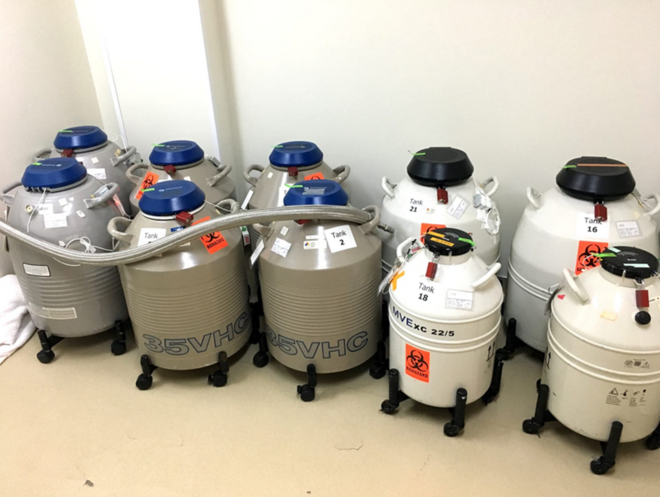 Ülkede erkek kalmadı: Savaşta ölen askerler de çocuk yapabilecek