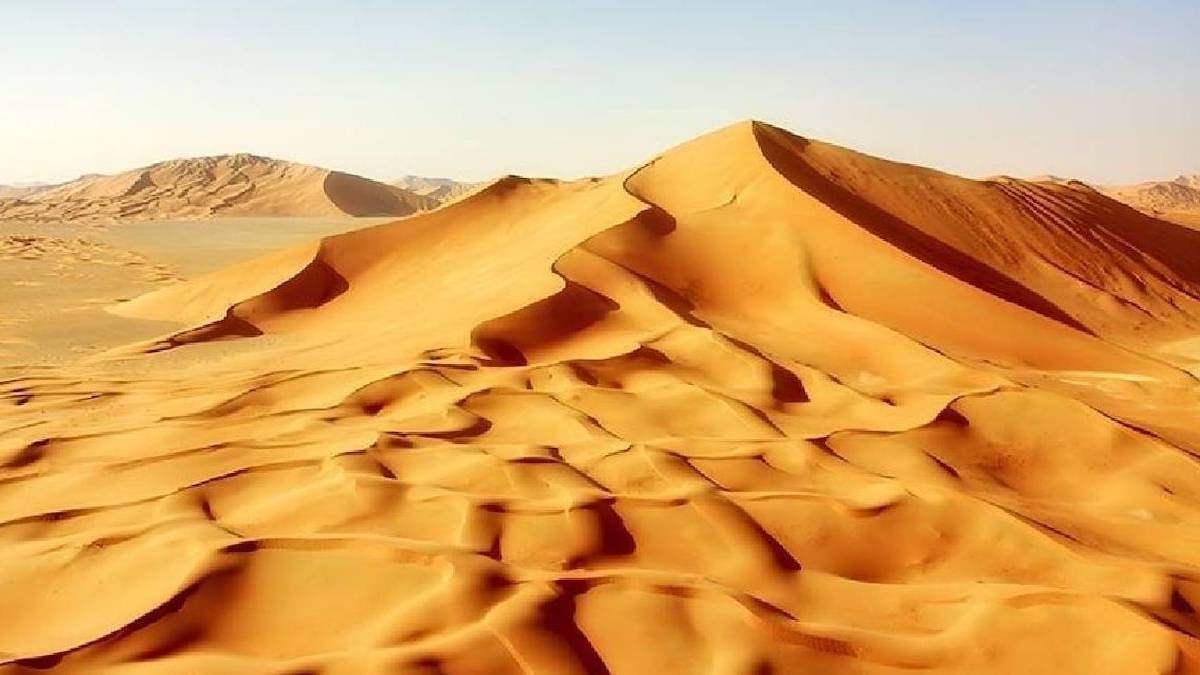 Sırtı bıçaklı dev yaratık: Sahra çölünde keşfedildi