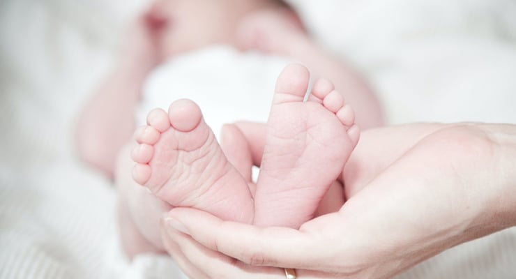 Yeni araştırma: Sıcaklık arttıkça erkek bebek doğumları azalıyor