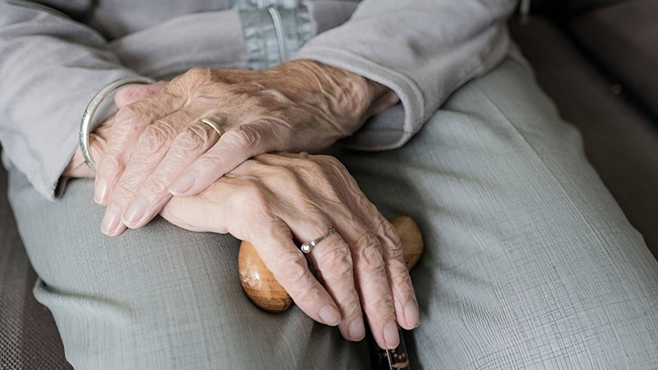 Yaşlı nüfus oranı yüzde 11,1: ‘Dalya’ diyenlerin sayısı sekiz bini aştı