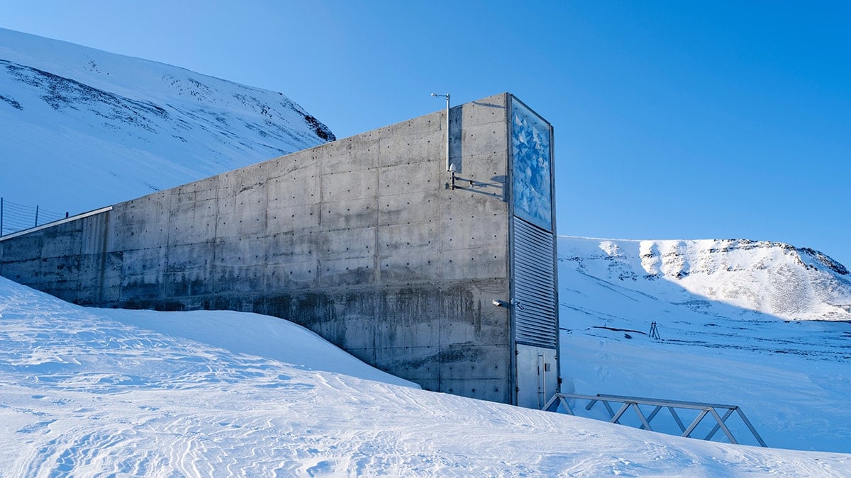 ‘Kıyamet Günü’ için inşa edildi: Sadece orası ayakta kalacak