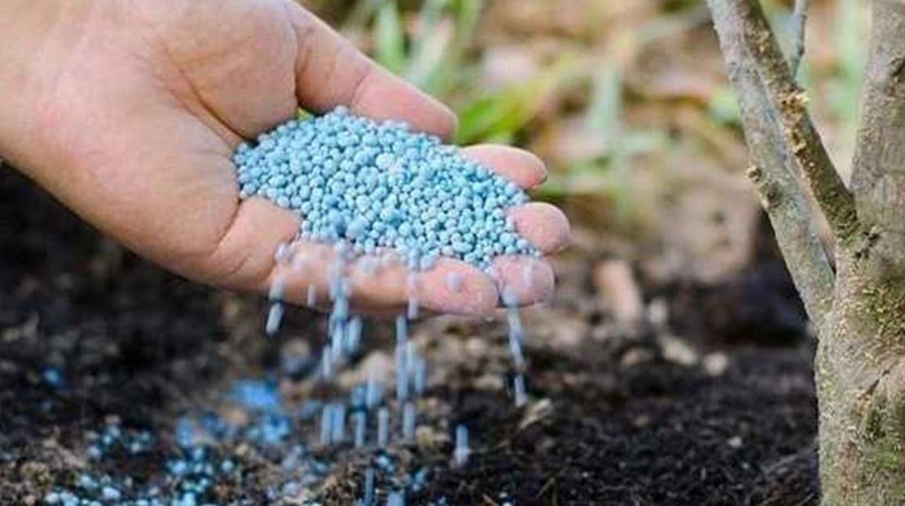 81 ile yazı gitti: 10 yıl önce yasaklanan bomba gübresine izin çıktı