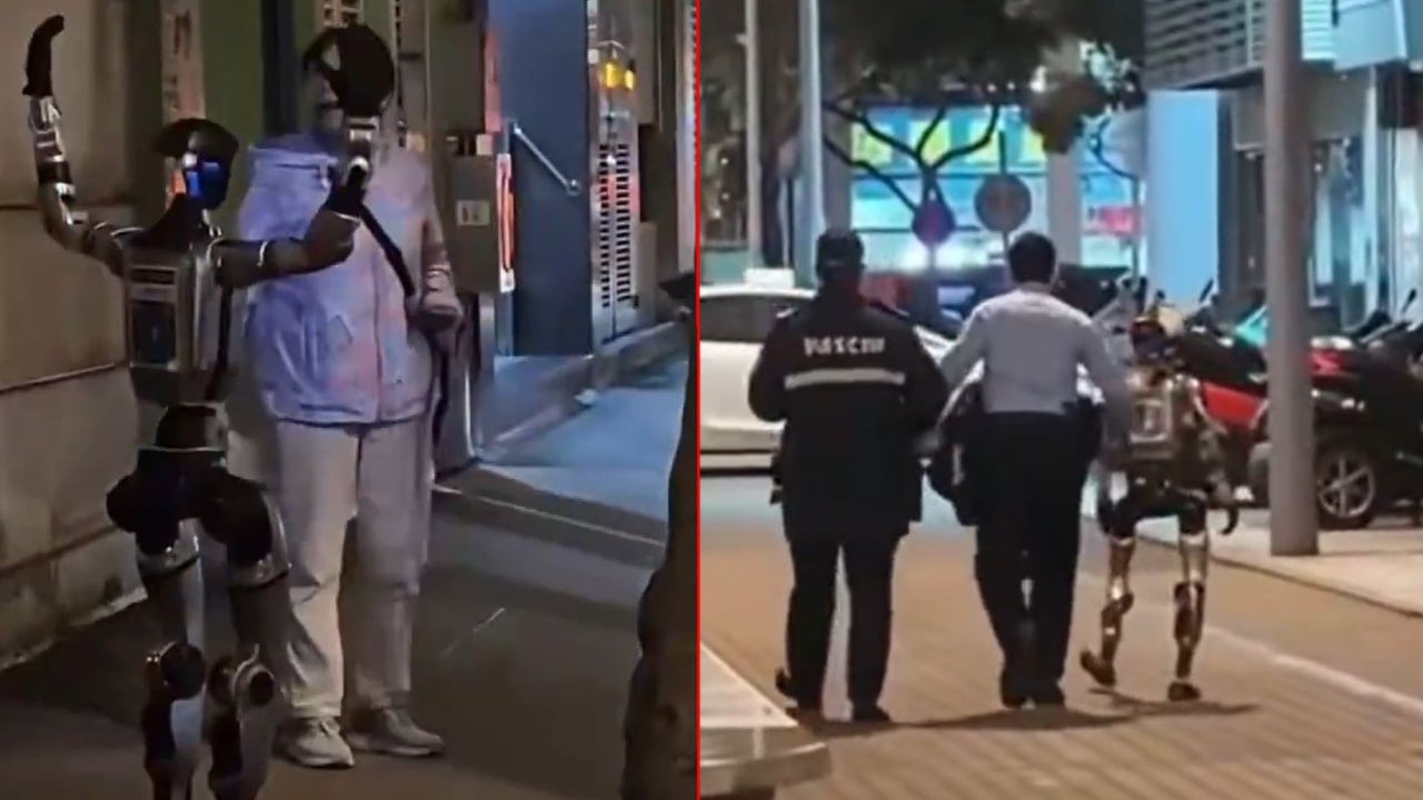 Ona da hukuk gerekecek: Yaşlı kadını korkutan robot gözaltına alındı