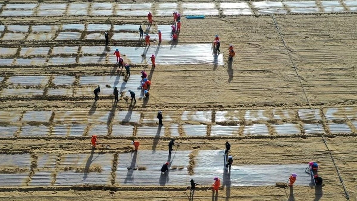 Taklamakan Çölü’nü yeşil çemberin içine hapsettiler