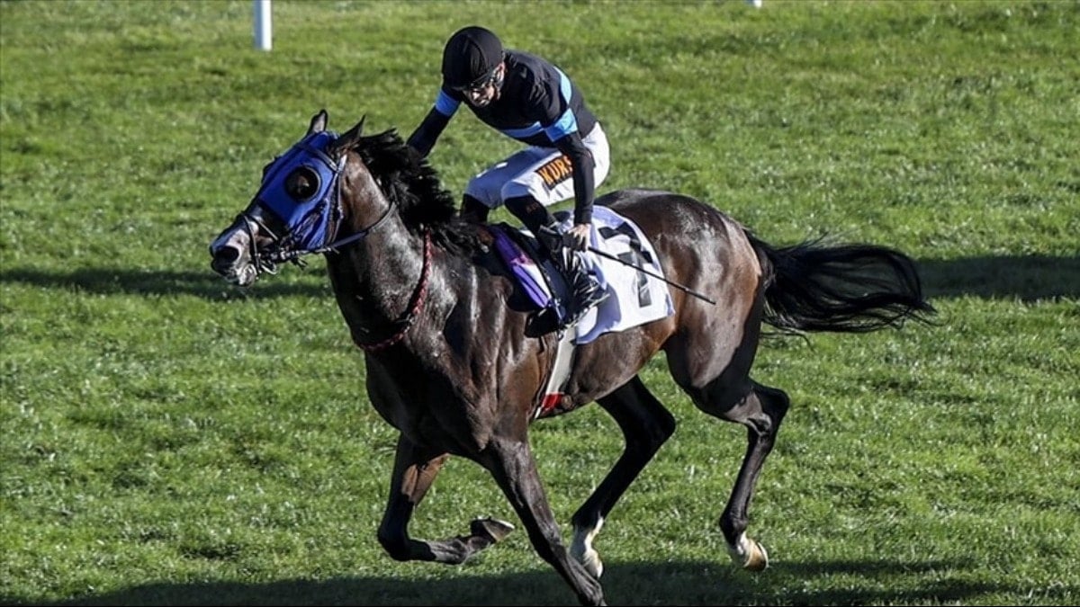 Kavurma yapılan atın sahibine de 132 bin TL ceza kesildi