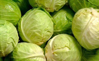 Yeni moda sebzemiz, bildiğiniz lahana: Ama faydası saymakla bitmiyor