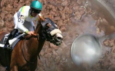 Yarış atının eti nasıl oldu da aşevi mutfağına girdi?