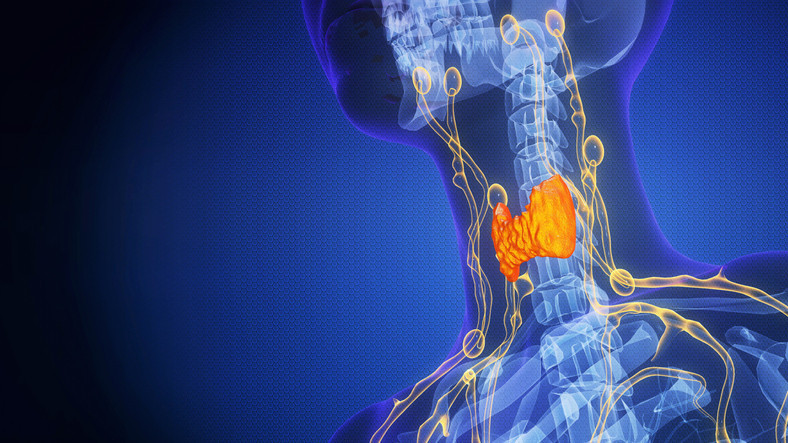Timüs bezini koruyun, gerisi daha kolay