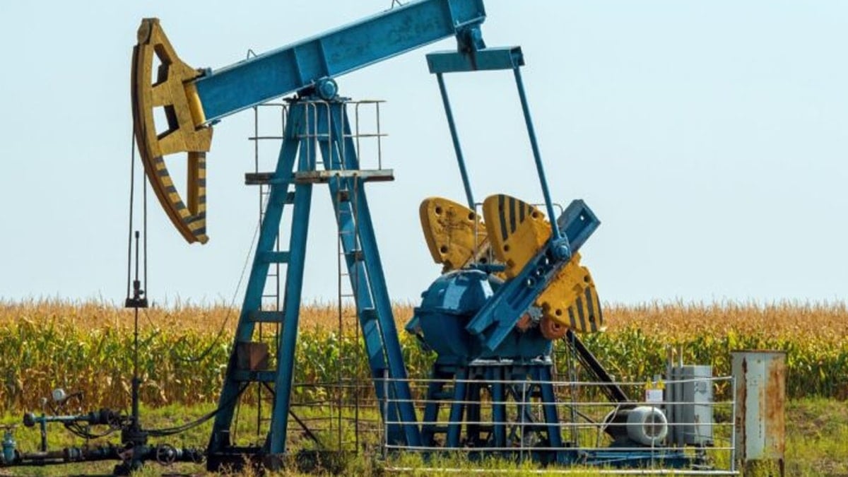 ‘Bitti kalmadı’ dedikleri kuyudan servet çıkardı