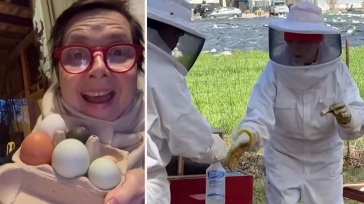 ‘Dünyanın en güzel kadını’ydı, şimdi tavukçuluk yapıyor