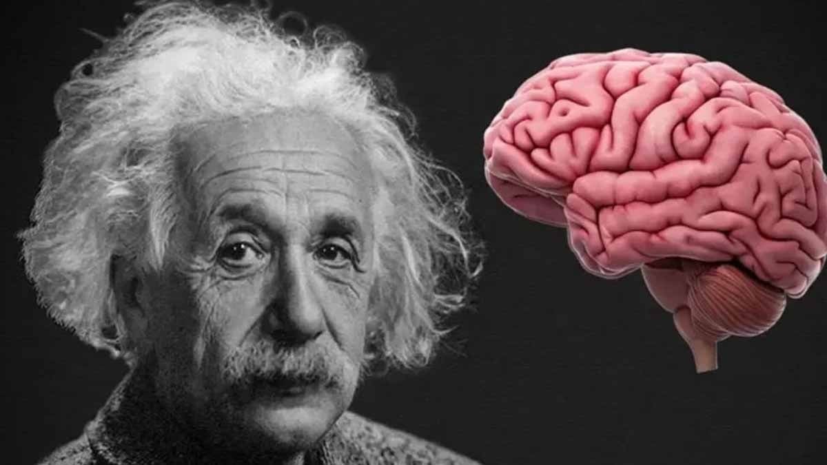 Yüksek zekanın en sağlam kanıtı: Entelektüel tevazu