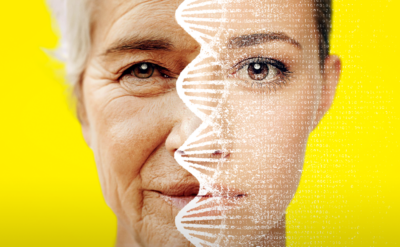 ‘Longevity’ belki aşırı abartılı ama bu araştırma yaşlanmayı sahiden terse çevirebilir