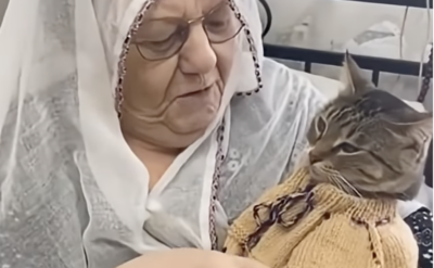 Sayın Aile Bakanı, size Kulaksız köyünden çok ciddi itiraz var