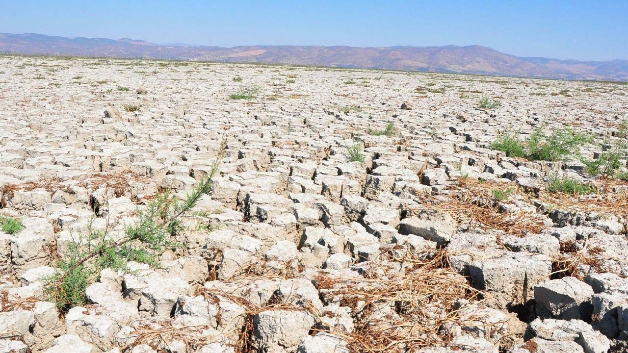 El Nino uyarısı: Bu yaz da sıcak, çok sıcak olacak