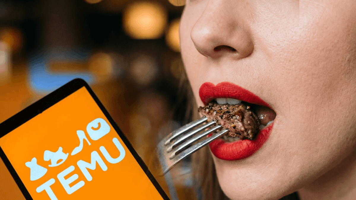 Yapay zeka Temu’nun reklamını mahvetti